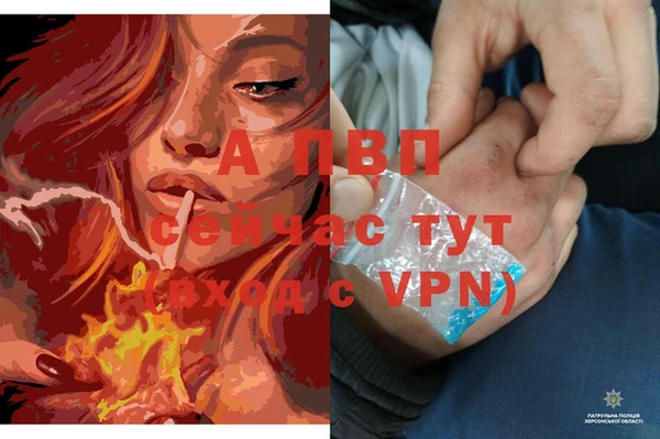 прущий лед Наволоки
