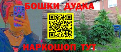 гидра Волжск